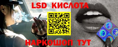спайс Славгород